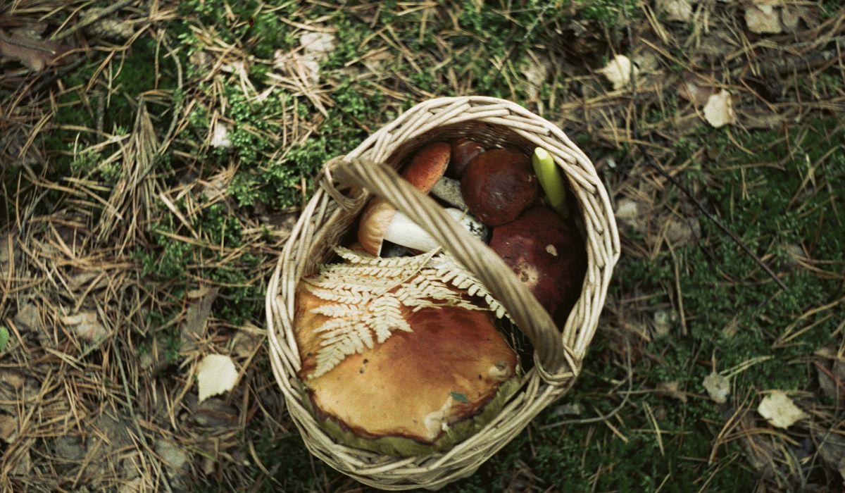 Post Image